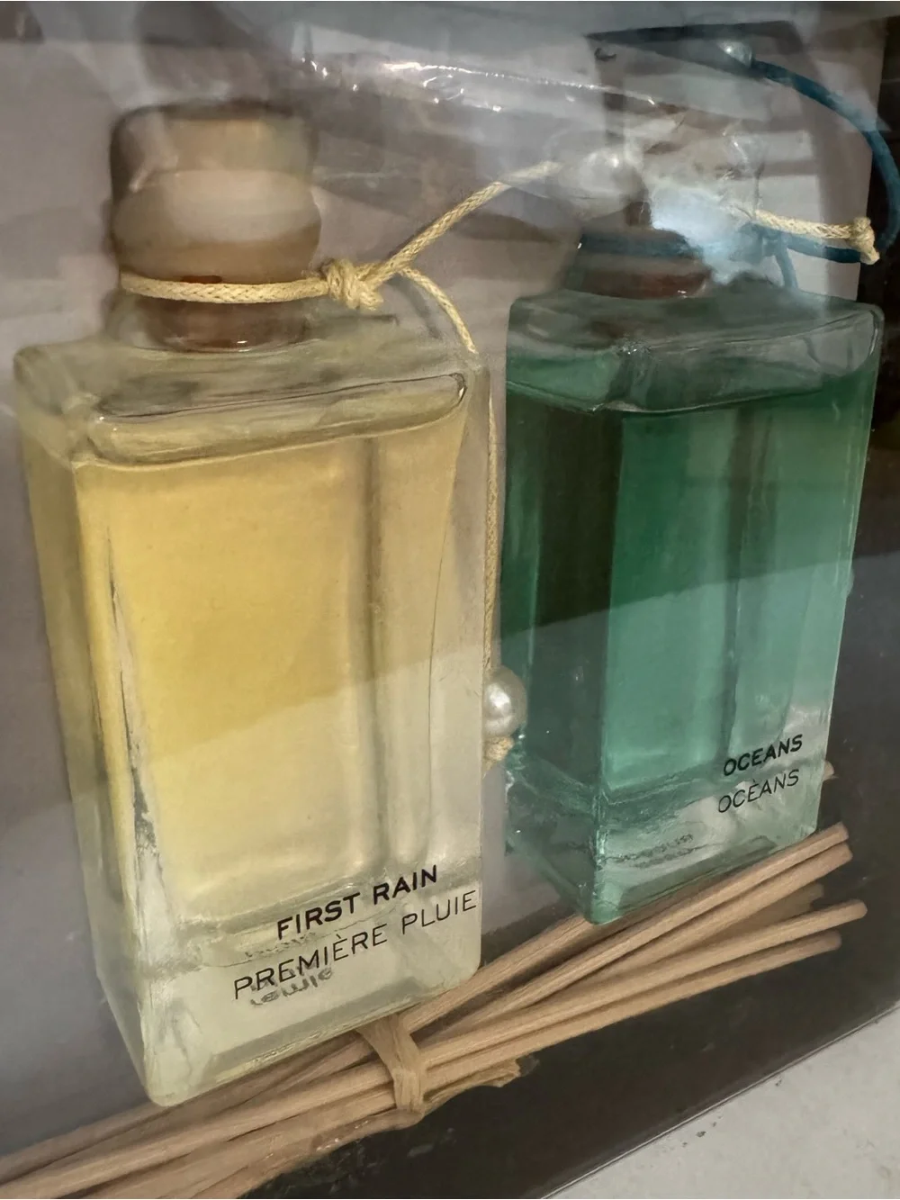 Pier 1 Imports Reed Diffuser Gift Set of 2 Oceans and First Rain Scent